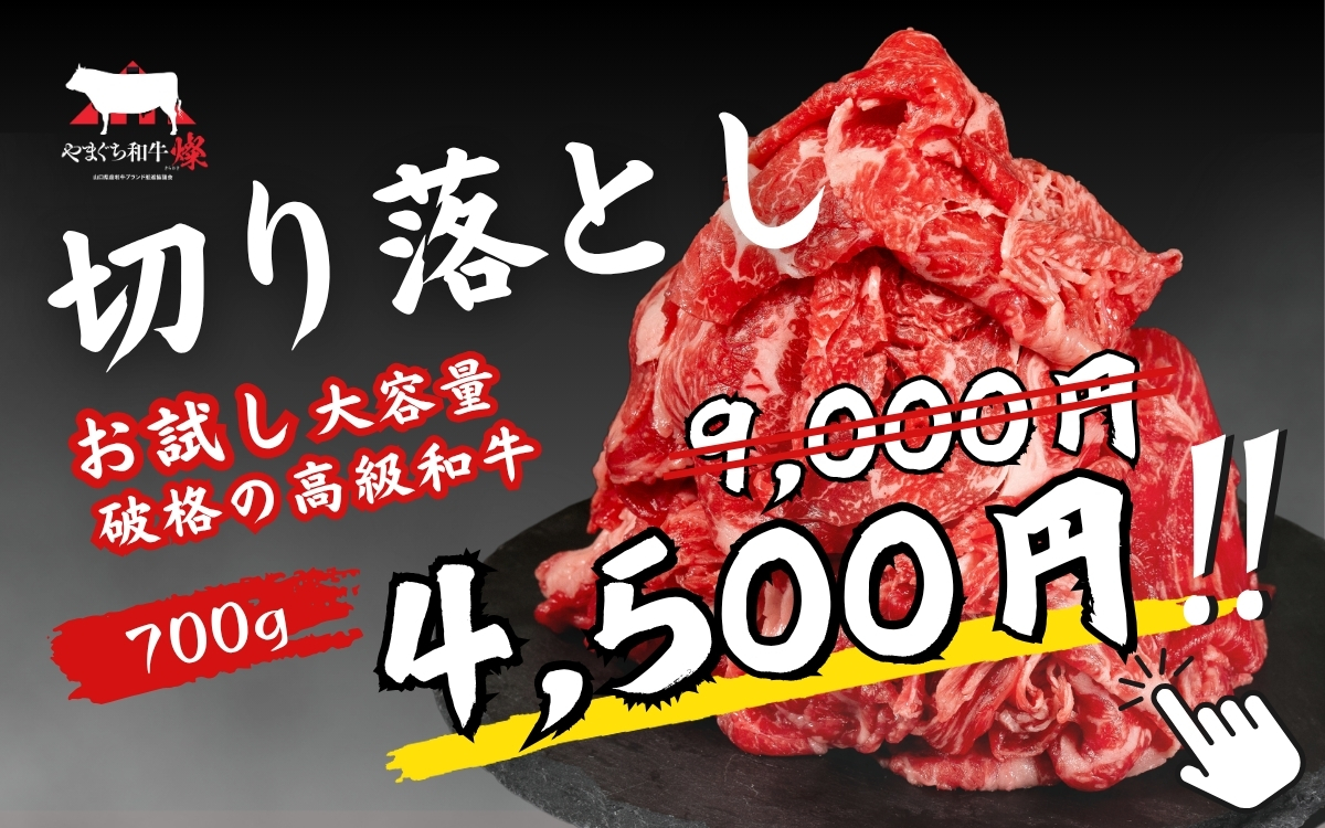 お試し